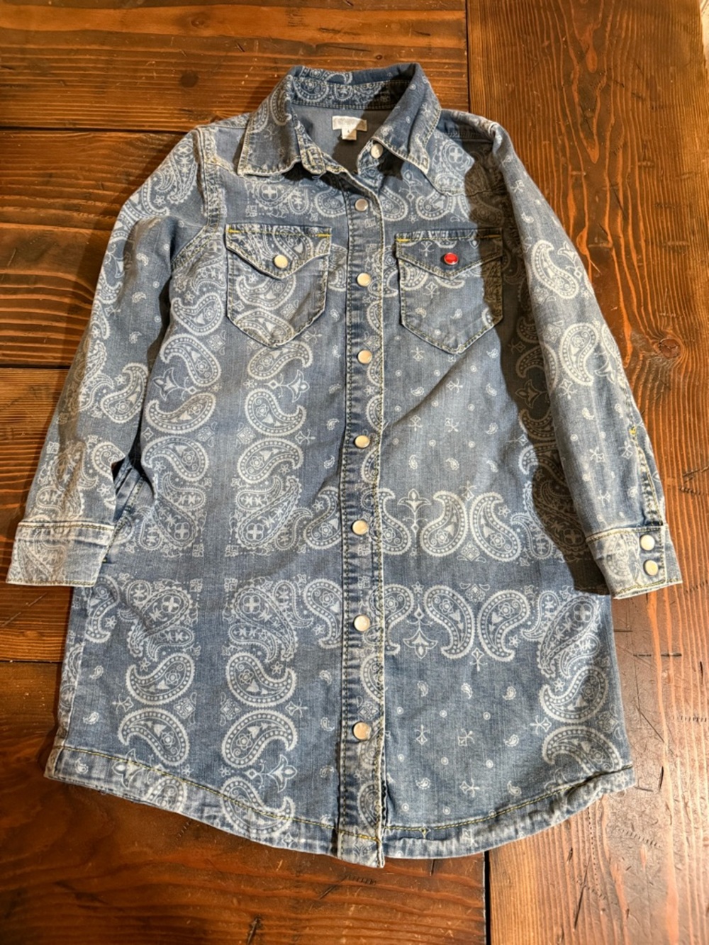 Gymboree Blue Paisley Denim Shirt Dress